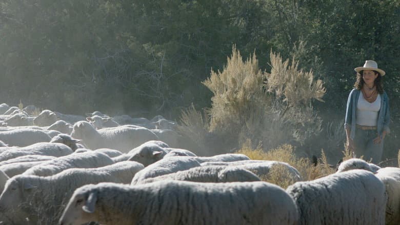Backdrop from Shepherd's Song