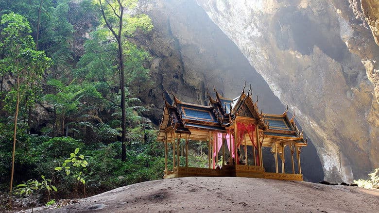 Backdrop from Wild Thailand