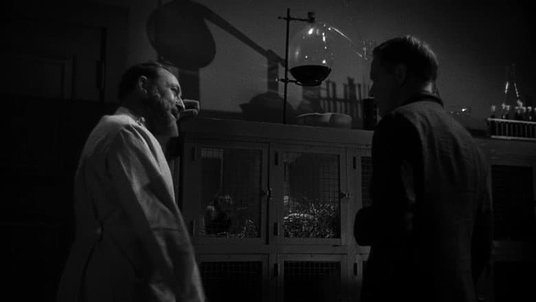 Backdrop from The Mad Doctor of Market Street