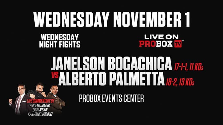 Backdrop from Janelson Bocachica vs. Alberto Palmetta