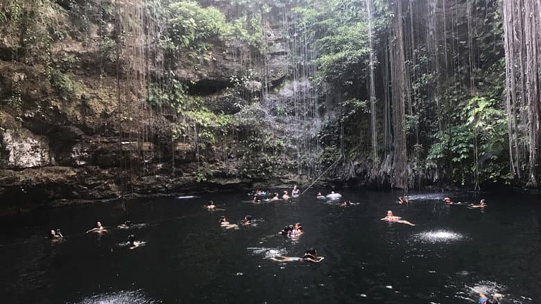 Backdrop from Cenote