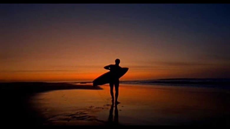 Backdrop from Surf Adventures