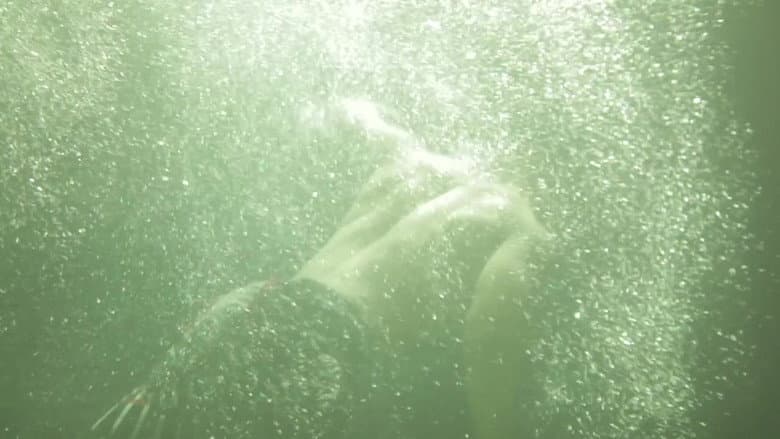Backdrop from Glass Tunnel