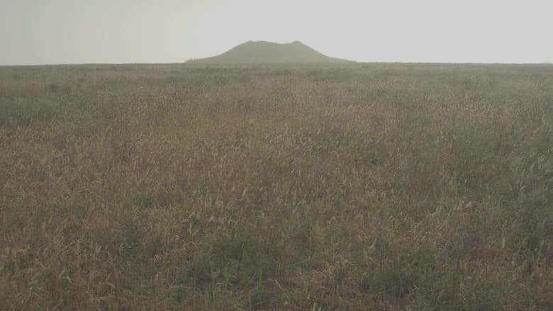 Backdrop from Volcano