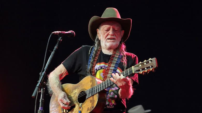 Backdrop from Willie Nelson & Friends: Stars & Guitars