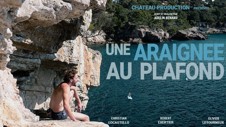 Backdrop from Une Araignée au Plafond