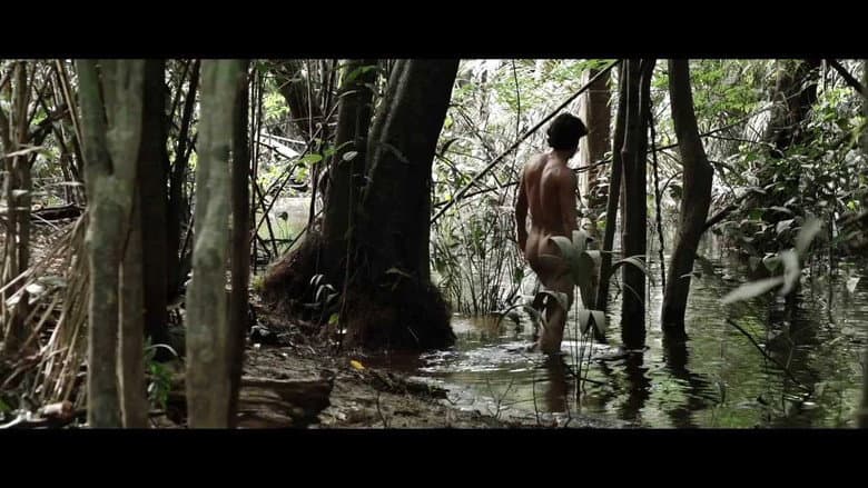 Backdrop from Jonathas' Forest