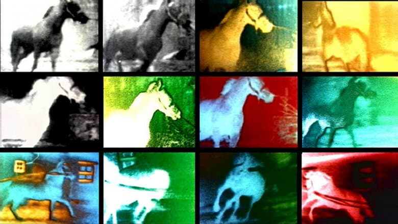Backdrop from Berlin Horse