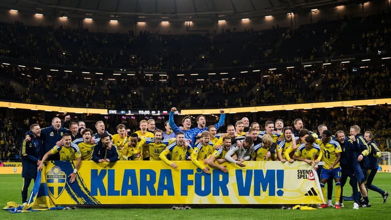 Backdrop from Drömmen om VM – inifrån herrlandslagets playoff