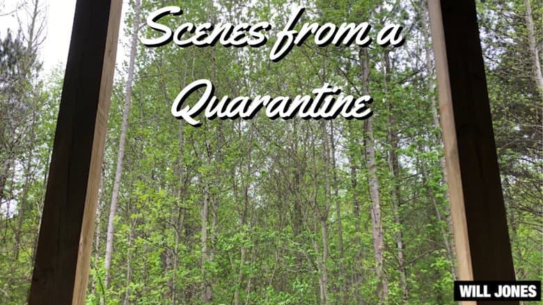 Backdrop from Scenes from a Quarantine