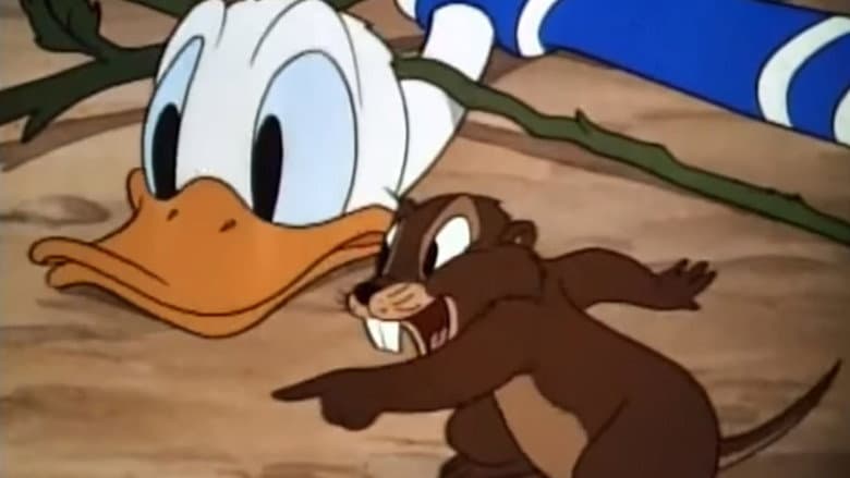 Backdrop from Donald's Garden
