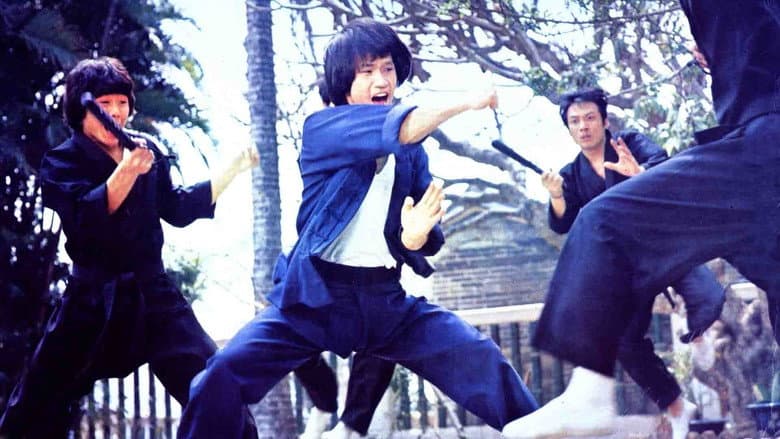 Backdrop from Bruce Le's Greatest Revenge