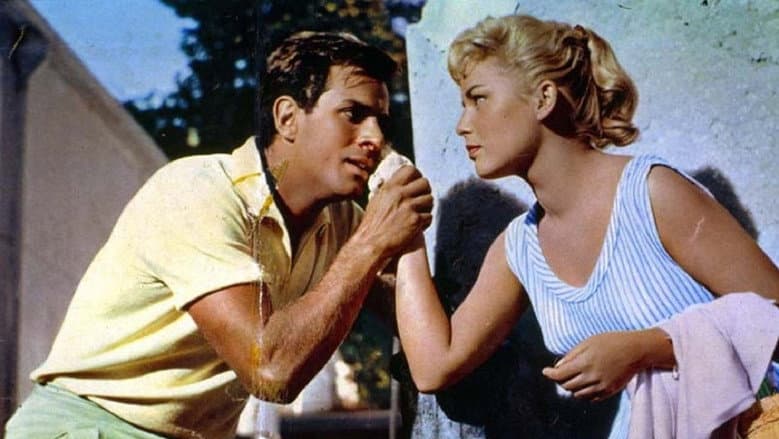 Backdrop from Holiday Island
