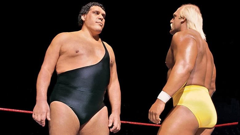Backdrop from WWE WrestleMania III