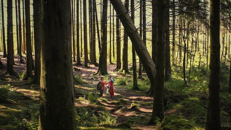 Backdrop from Sisters: The Summer We Found Our Superpowers