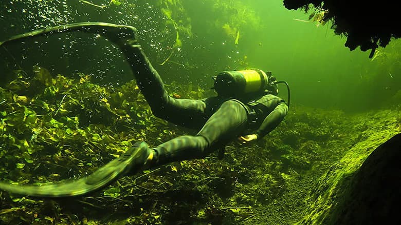 Backdrop from Underwater Okavango