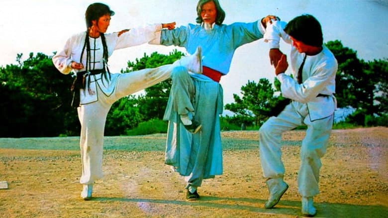 Backdrop from Twins of Kung Fu
