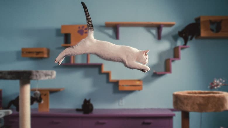 Backdrop from Inside the Mind of a Cat