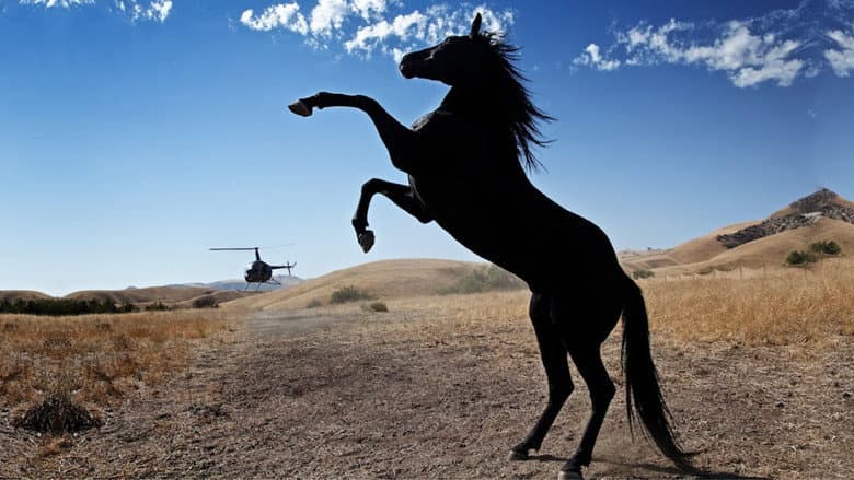 Backdrop from Wild Horses