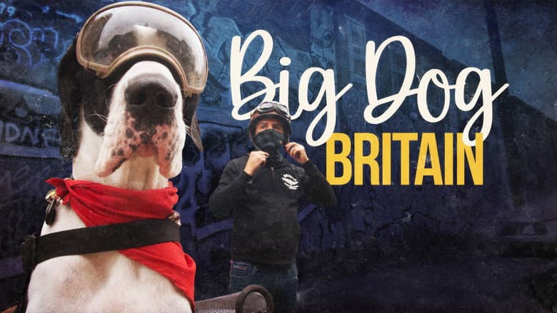 Backdrop from Big Dog Britain