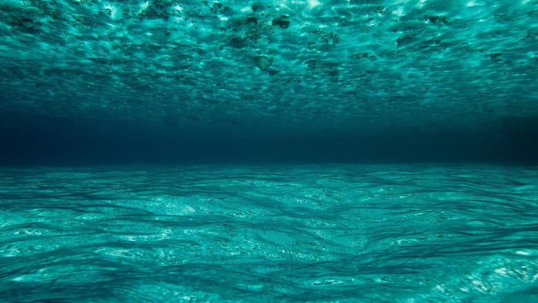 Backdrop from OceanWorld 3D