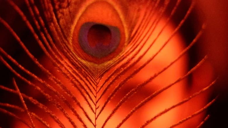 Backdrop from The Inner Demon / The Inner Angel