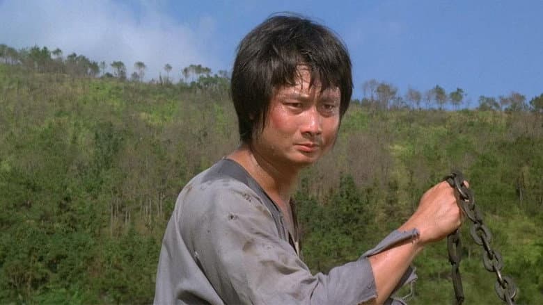 Backdrop from Monkey Kung Fu
