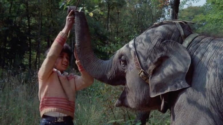 Backdrop from Anoop and the Elephant