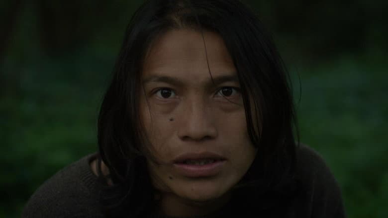 Backdrop from Canuto's Transformation