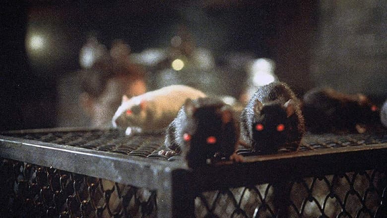 Backdrop from Rats