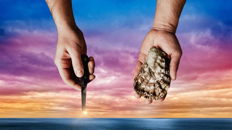 Backdrop from The Oyster Shucker