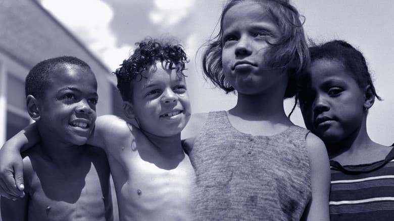 Backdrop from Through a Lens Darkly: Black Photographers and the Emergence of a People