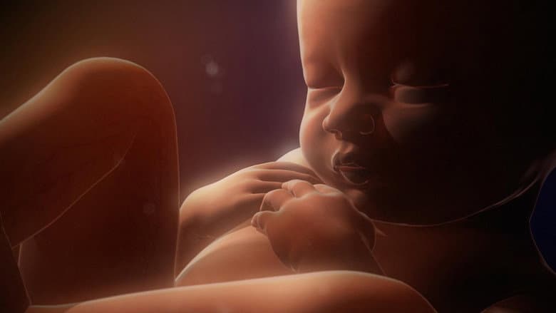 Backdrop from In the Womb: Multiples