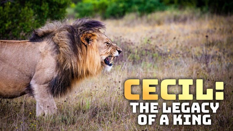 Backdrop from Cecil: The Legacy of a King