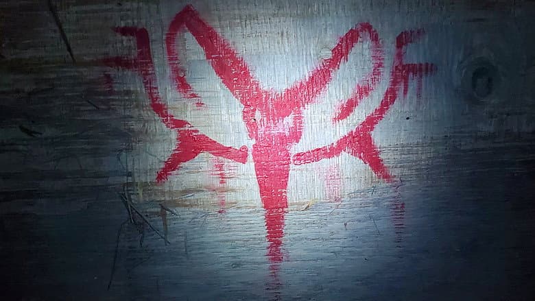 Backdrop from Snow Day '24