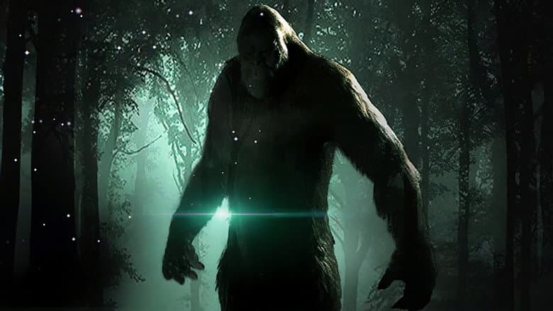 Backdrop from The Bigfoot Alien Connection Revealed