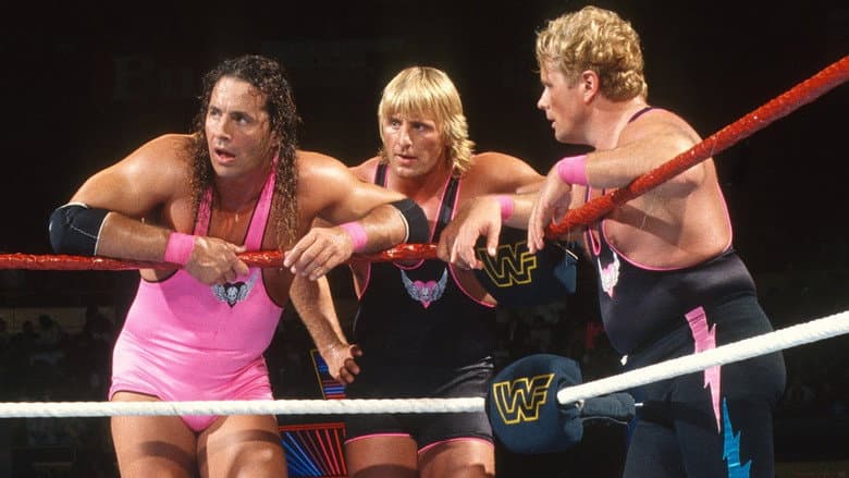 Backdrop from WWE Survivor Series 1993