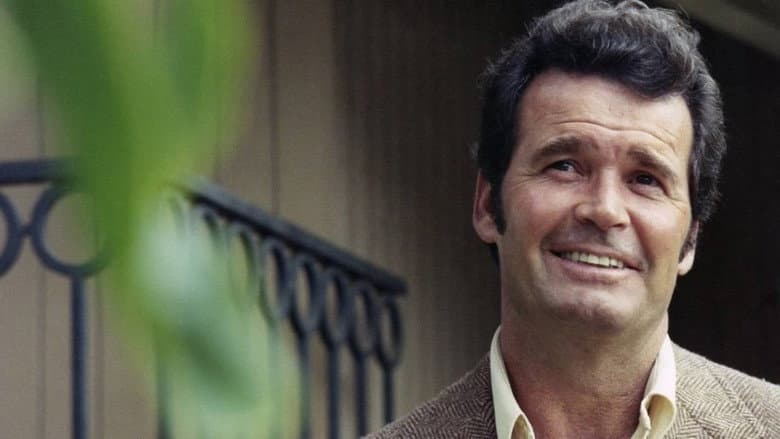 Backdrop from The Rockford Files: If the Frame Fits...