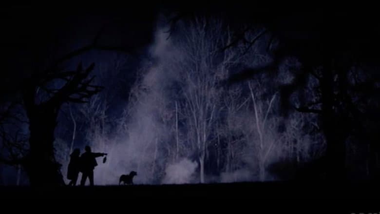Backdrop from The Hollow Tree