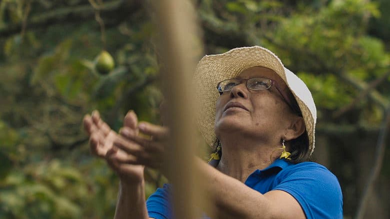 Backdrop from Tierra de mujeres