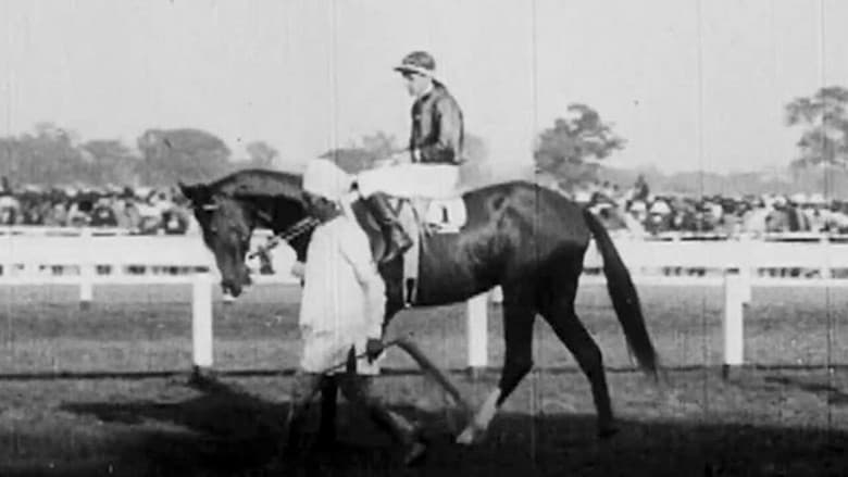 Backdrop from Calcutta Topical No. 1