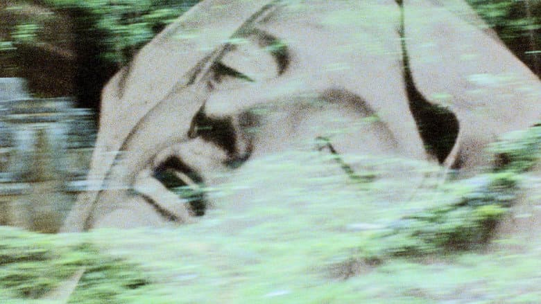 Backdrop from Lamentations: A Monument for the Dead World