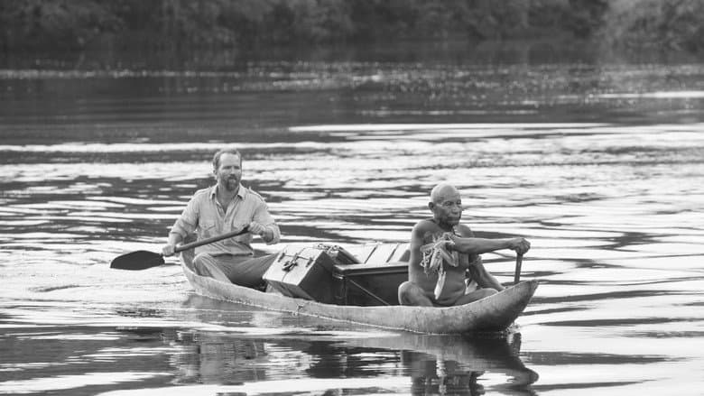 Backdrop from Embrace of the Serpent