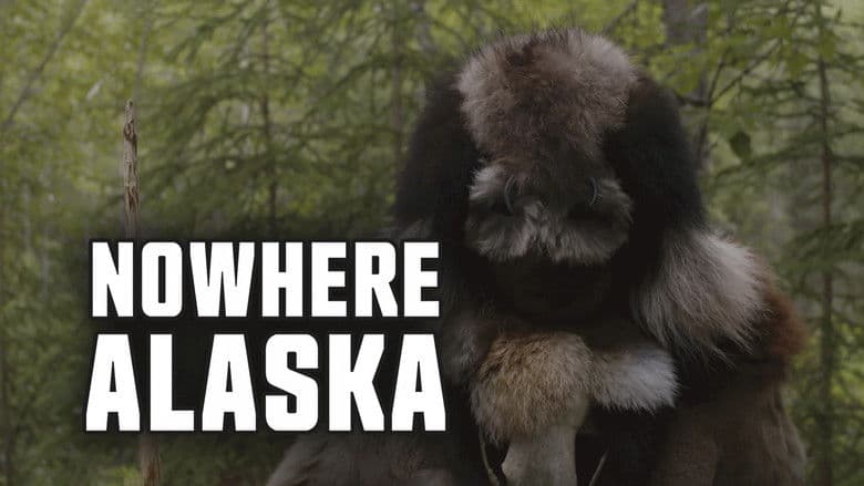 Backdrop from Nowhere Alaska