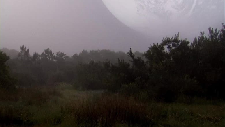 Backdrop from The Outer Space Forest