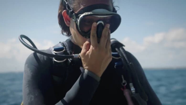 Backdrop from Mermaids Against Plastic