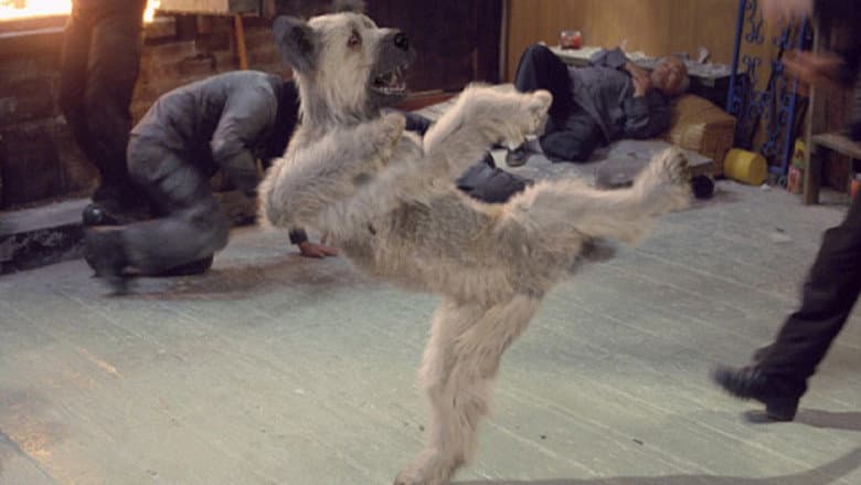Backdrop from The Karate Dog