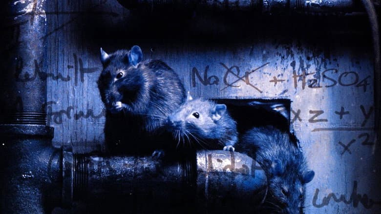 Backdrop from Altered Species