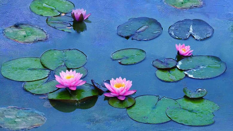 Backdrop from Water Lilies by Monet