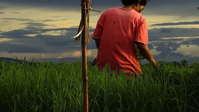 Backdrop from Agrarian Utopia